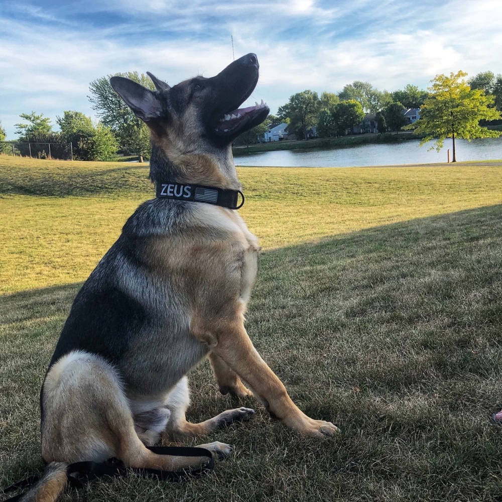 Meet your Posher, Arzu